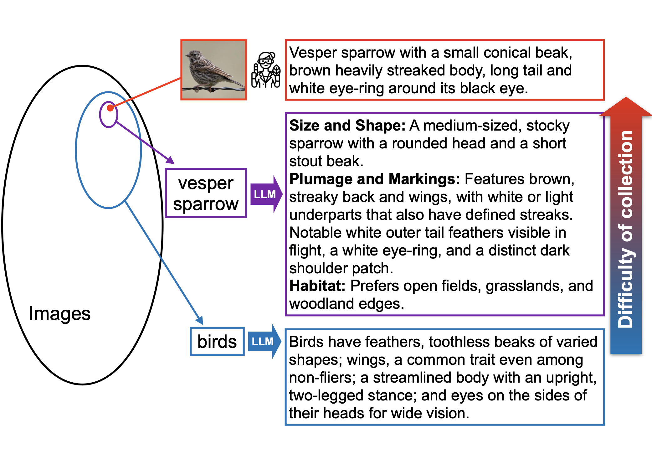 Improved Zero-Shot Classification by Adapting VLMs with Text Descriptions